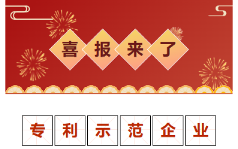 喜報！金華市專利示范企業(yè)！